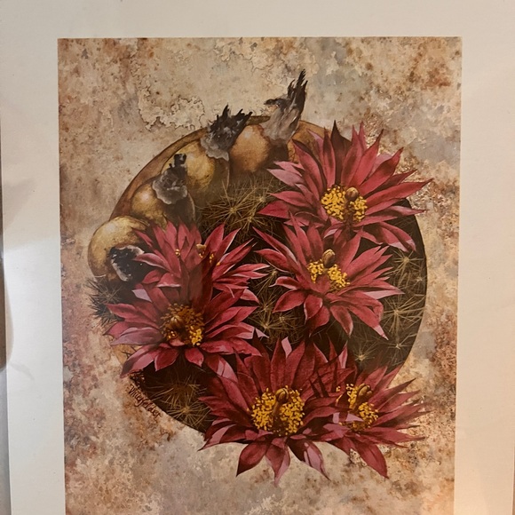 Framed Art Print Cushion Or Cactus Ball with Pink and White 18” x 22” - Picture 2 of 4